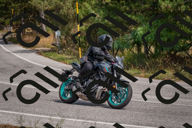 202509071324-DSC_9542_c4_