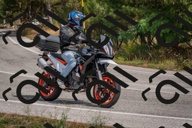 202509071324-DSC_9544_c4_