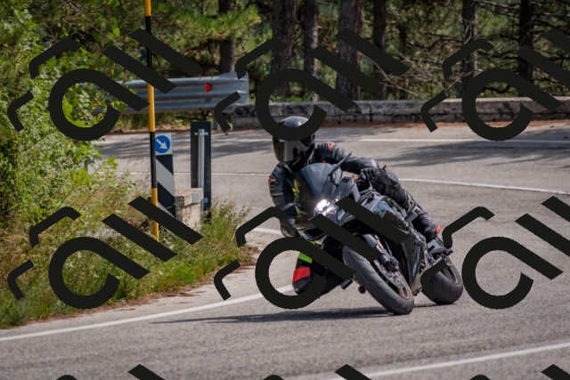 202509071326-DSC_9549_c4_