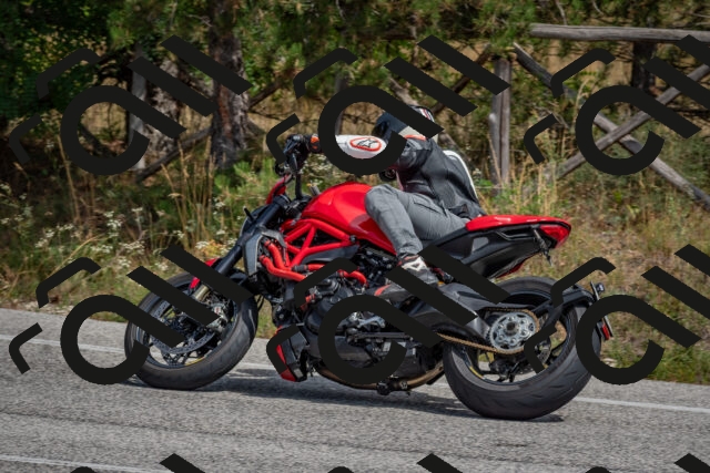 202509071326-DSC_9554_c4_