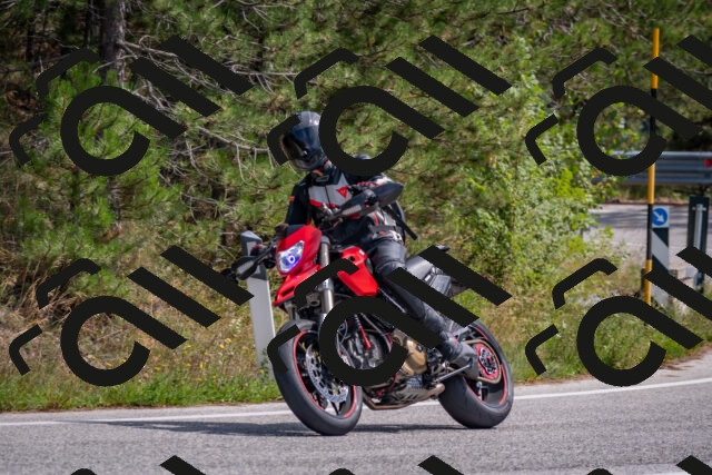 202509071326-DSC_9555_c4_