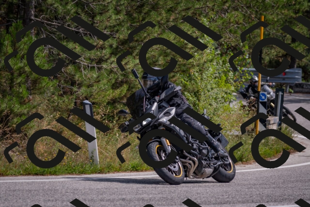 202509071327-DSC_9558_c4_