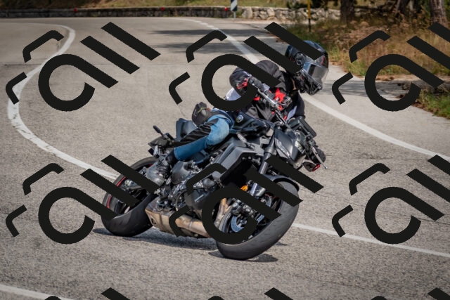 202509071327-DSC_9566_c4_