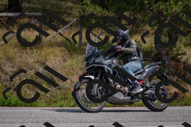 202509071328-DSC_9592_c4_