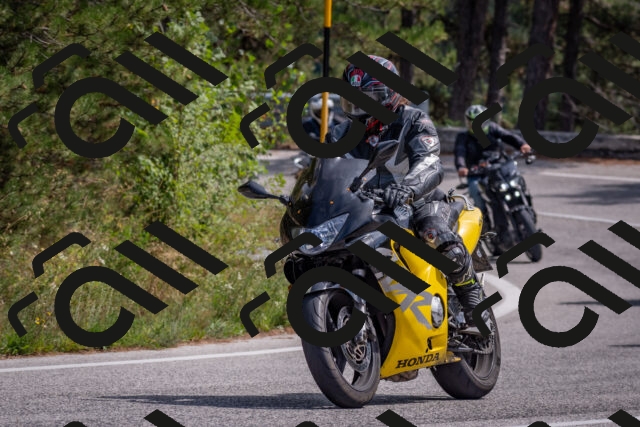 202509071328-DSC_9595_c4_