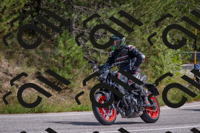 202509071328-DSC_9597_c4_