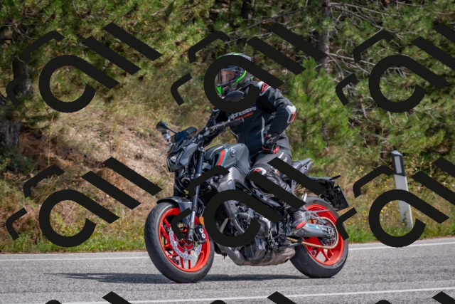 202509071328-DSC_9598_c4_