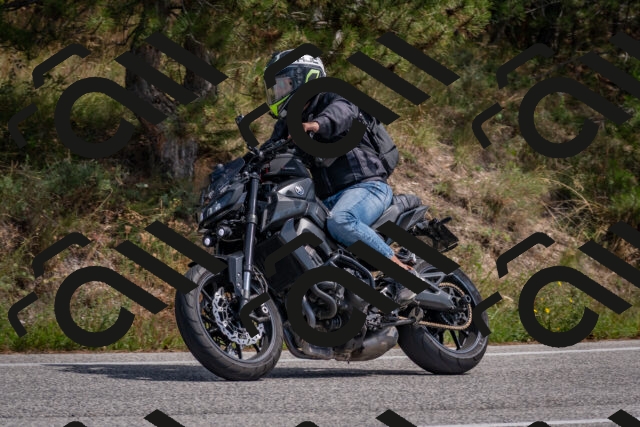 202509071328-DSC_9600_c4_