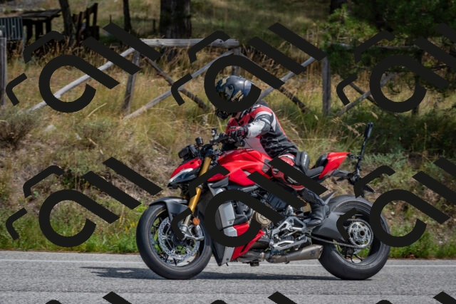 202509071328-DSC_9610_c4_