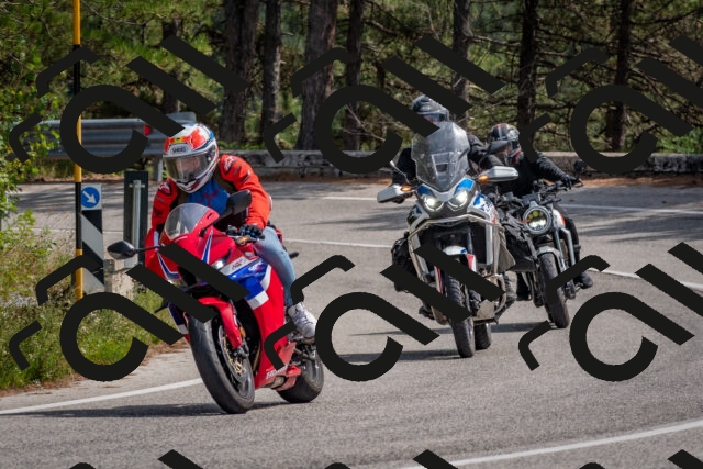 202509071329-DSC_9617_c4_