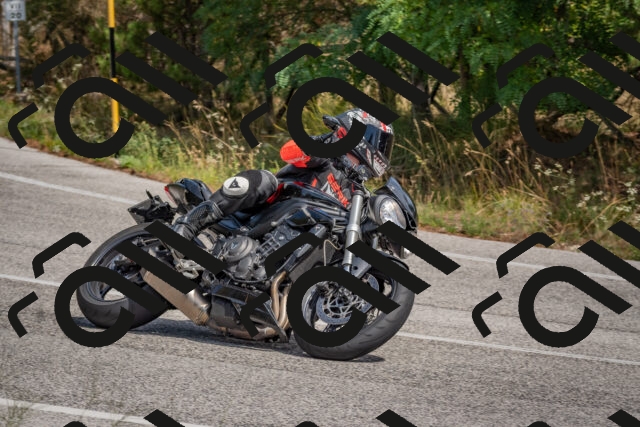 202509071330-DSC_9628_c4_