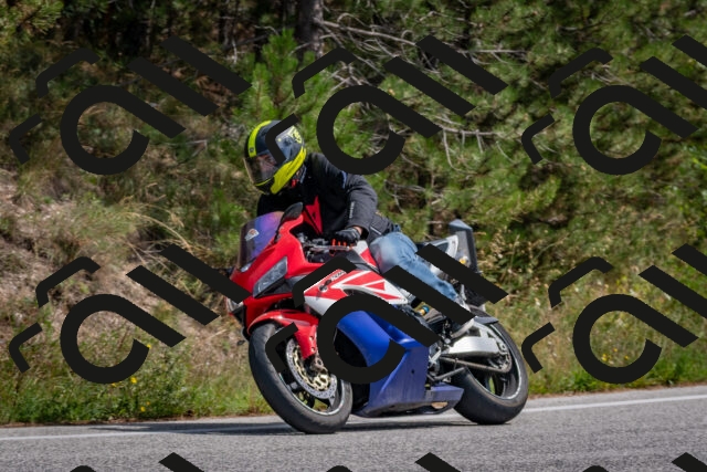 202509071330-DSC_9633_c4_