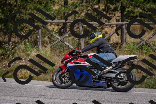 202509071330-DSC_9635_c4_