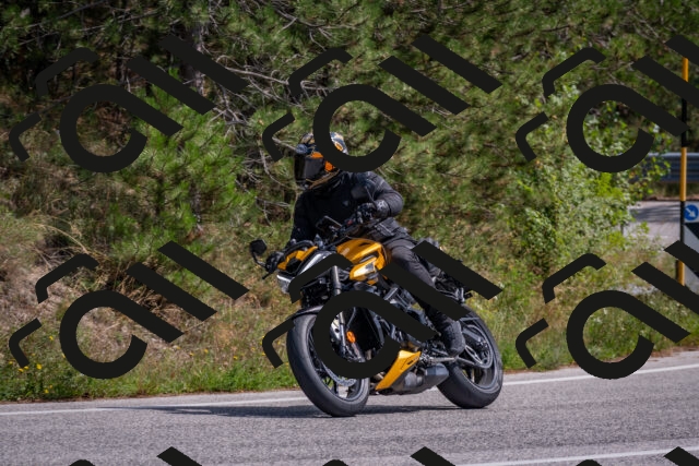 202509071331-DSC_9636_c4_