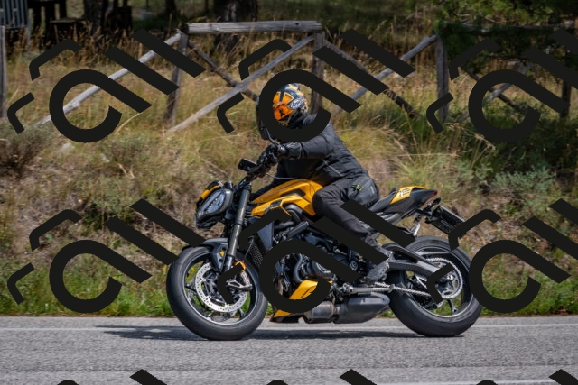 202509071331-DSC_9637_c4_