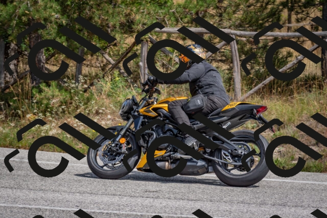 202509071331-DSC_9638_c4_