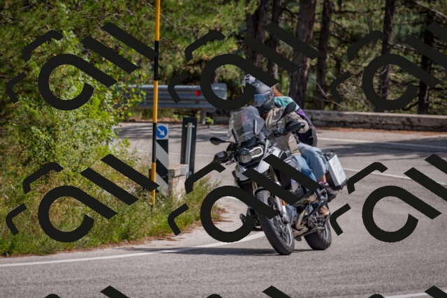 202509071334-DSC_9645_c4_