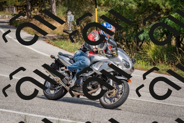 202509071339-DSC_9663_c4_