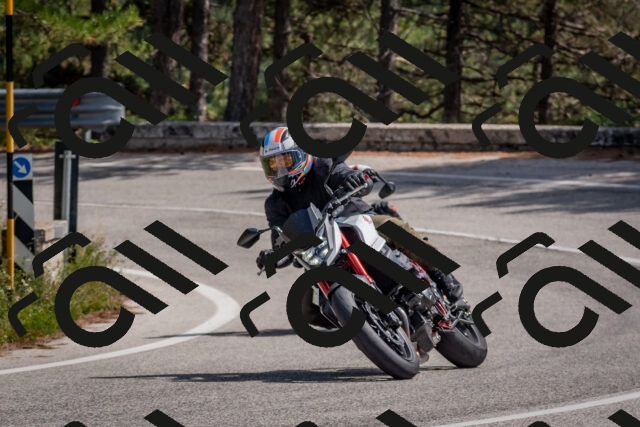 202509071341-DSC_9667_c4_