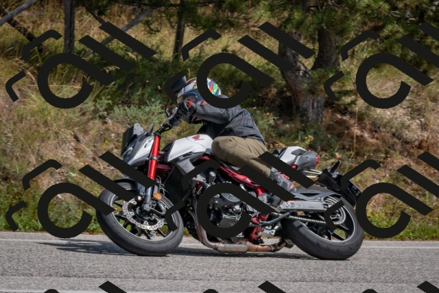 202509071341-DSC_9669_c4_