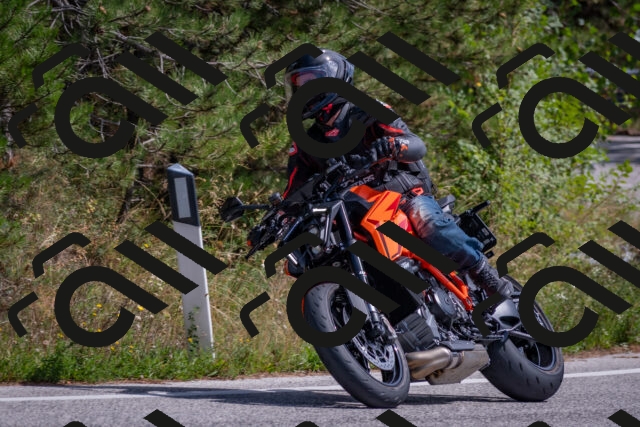 202509071341-DSC_9673_c4_