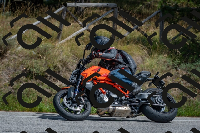 202509071341-DSC_9674_c4_