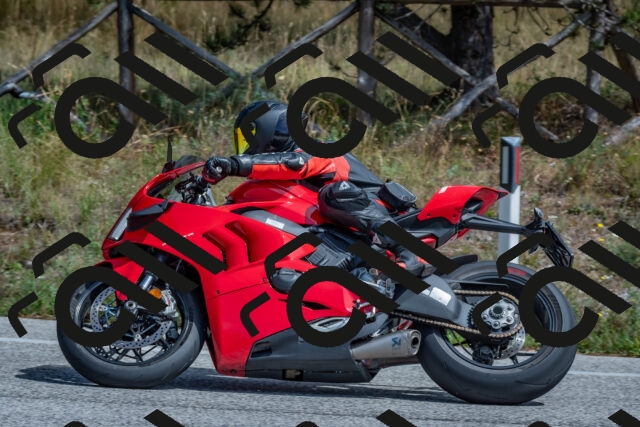 202509071341-DSC_9682_c4_