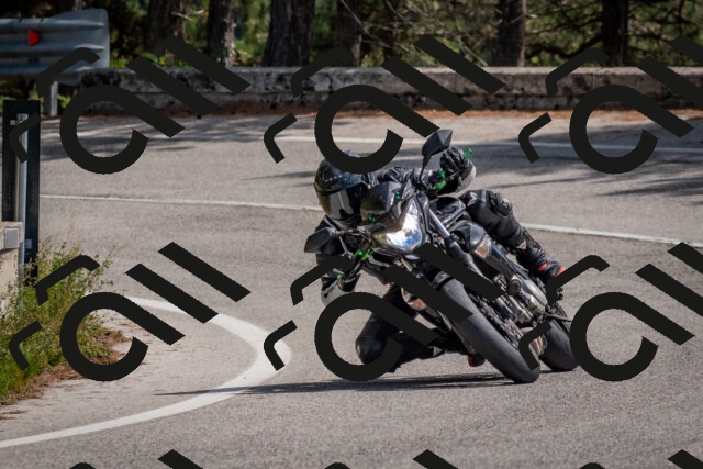 202509071341-DSC_9688_c4_