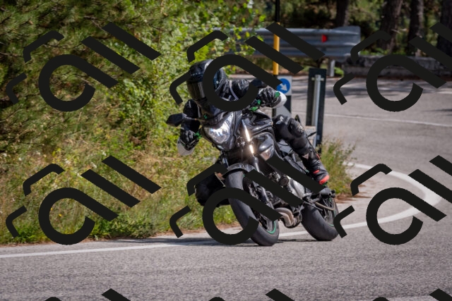 202509071341-DSC_9689_c4_