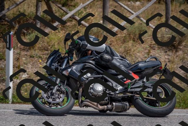 202509071341-DSC_9690_c4_