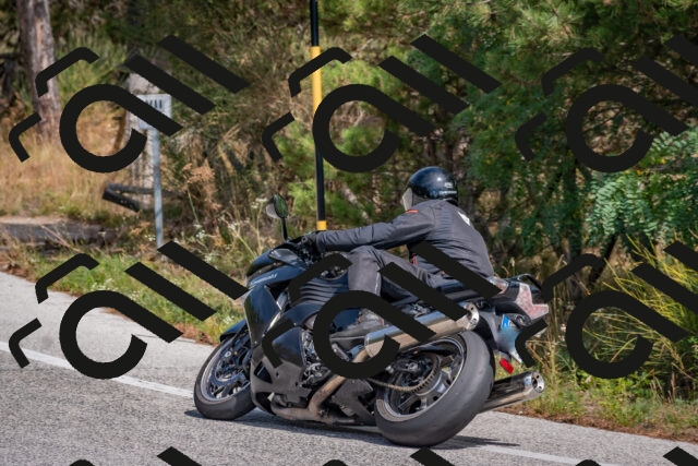 202509071341-DSC_9696_c4_