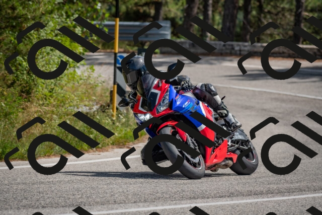 202509071341-DSC_9697_c4_