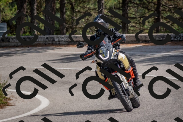 202509071342-DSC_9704_c4_