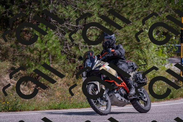 202509071342-DSC_9705_c4_