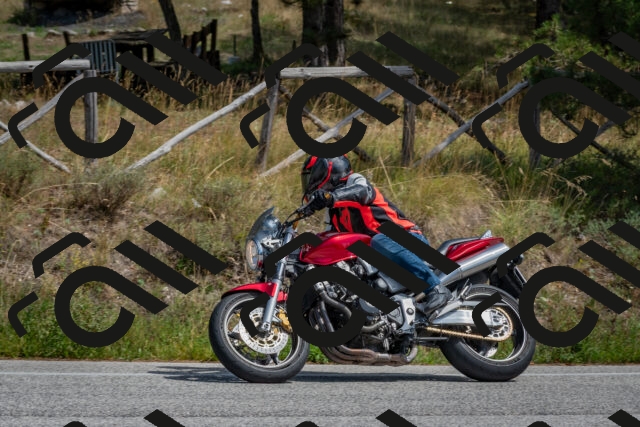 202509071342-DSC_9709_c4_