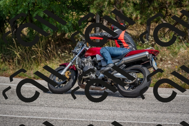 202509071342-DSC_9710_c4_