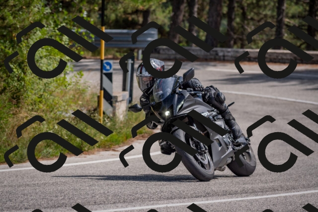 202509071342-DSC_9711_c4_