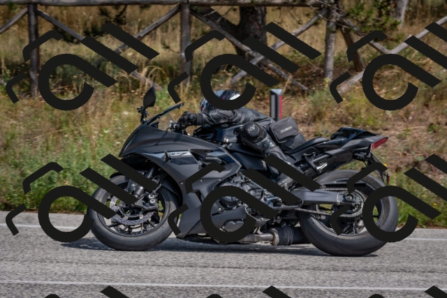 202509071342-DSC_9713_c4_