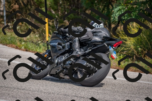 202509071342-DSC_9714_c4_