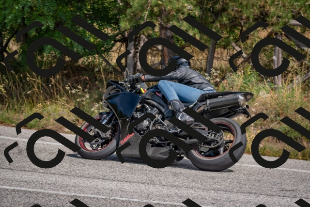 202509071343-DSC_9718_c4_