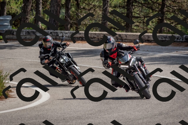 202509071343-DSC_9719_c4_