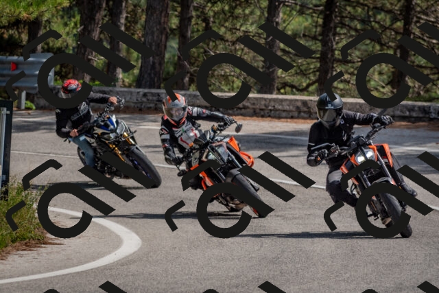 202509071343-DSC_9727_c4_