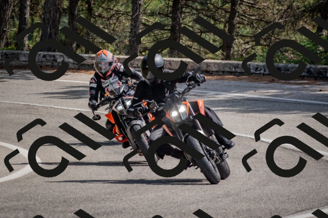 202509071343-DSC_9728_c4_