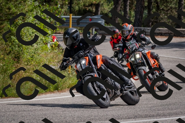 202509071343-DSC_9729_c4_