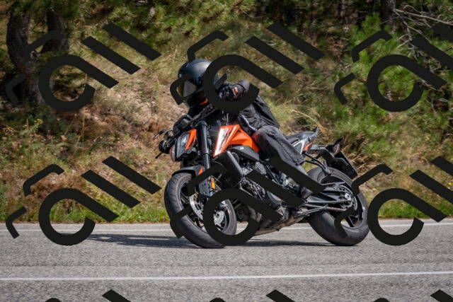 202509071343-DSC_9730_c4_