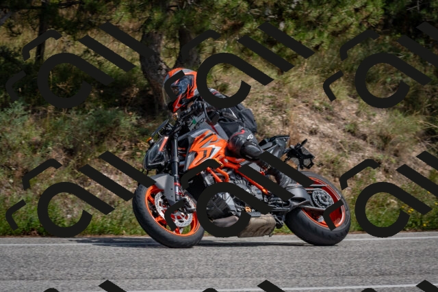 202509071343-DSC_9731_c4_