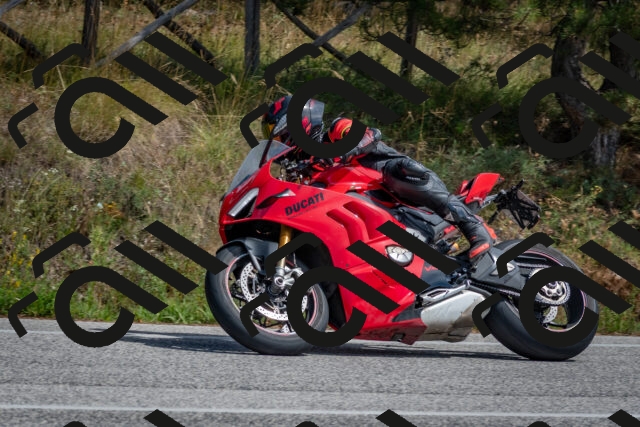 202509071343-DSC_9733_c4_