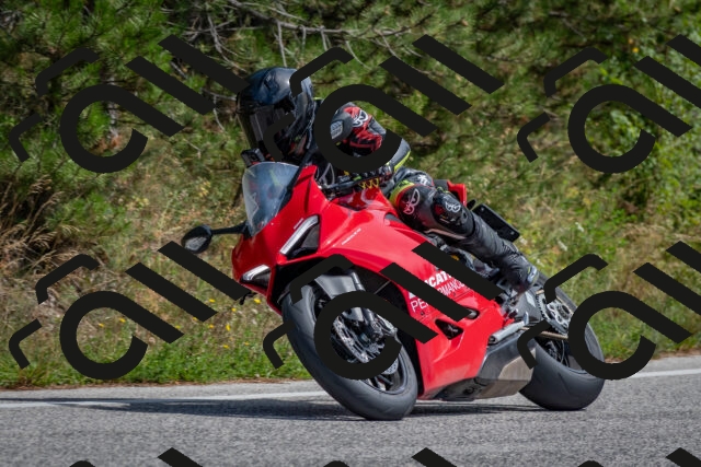 202509071343-DSC_9735_c4_