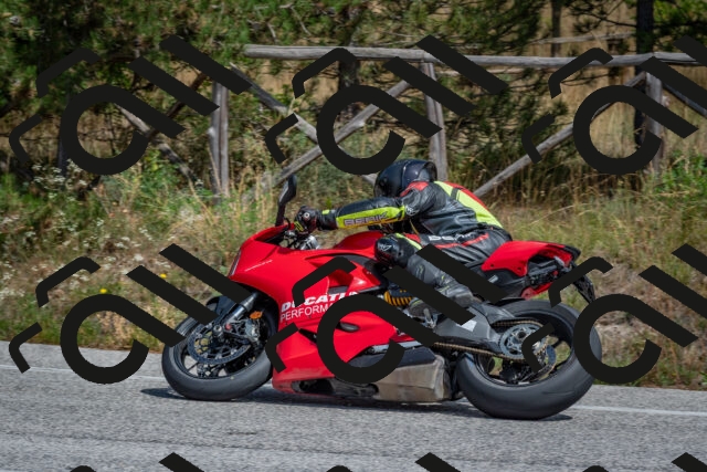 202509071343-DSC_9737_c4_