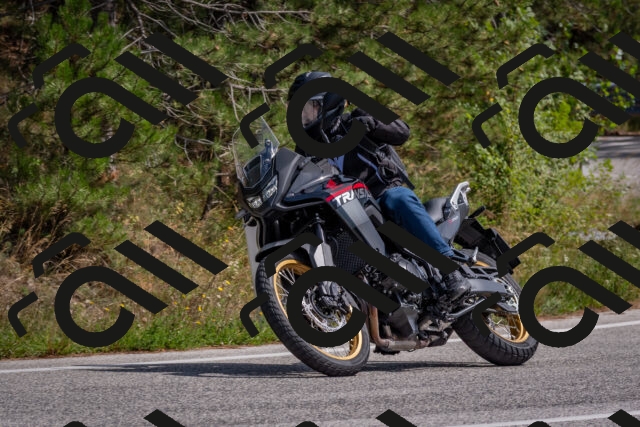 202509071344-DSC_9746_c4_